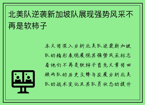 北美队逆袭新加坡队展现强势风采不再是软柿子
