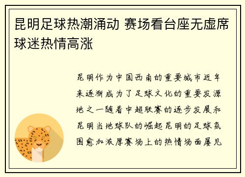 昆明足球热潮涌动 赛场看台座无虚席球迷热情高涨